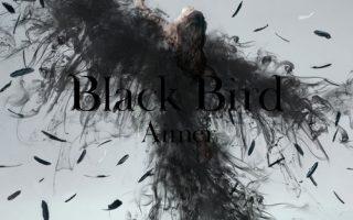 aimer black bird专辑 （普通无损格式）