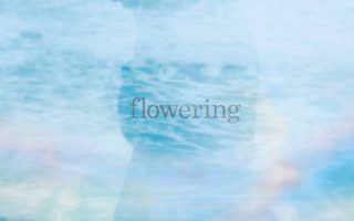 [Hi-res][自购]flowering—TK from 凛として時雨（整轨）