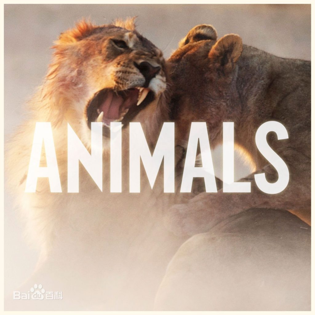 Animals-Maroon 5