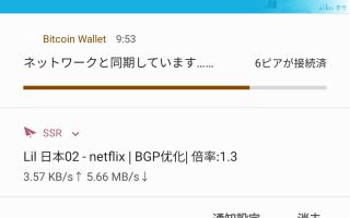 Screenshot_20210113-104856_Bitcoin Wallet