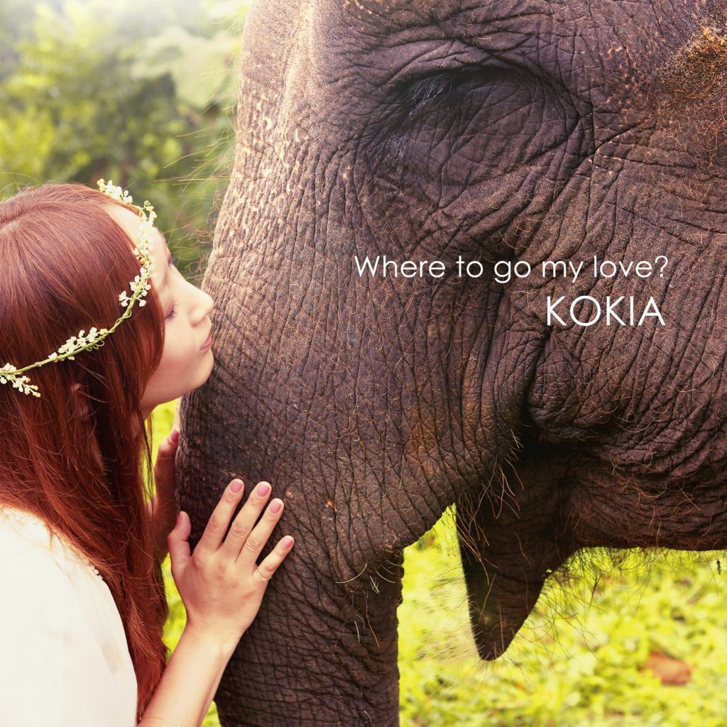 [Hi-Res]KOKIA where to go my love[flac]