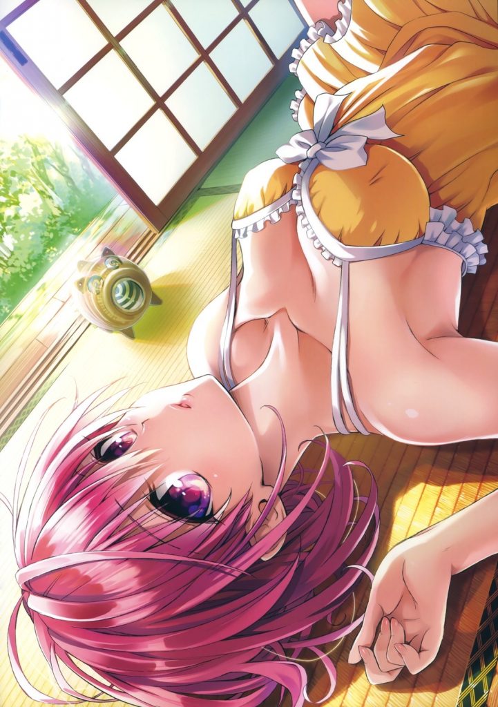 茶煲情缘To Love-Ru Trouble Seriesる[全收錄][無聖騎]