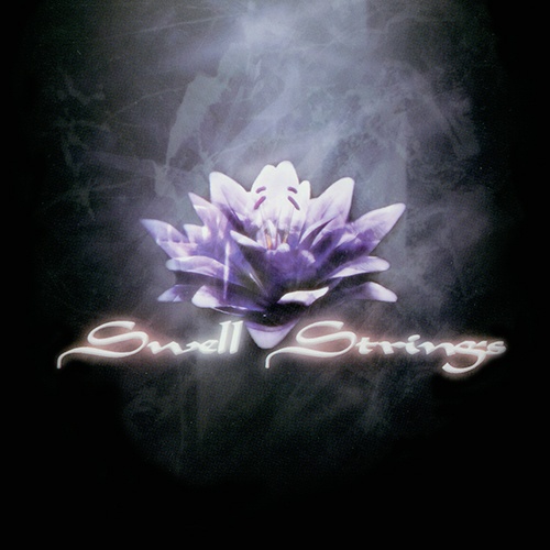 (C80)(同人音乐)[axsword]Blue Orb &amp; Swell Strings[FLAC+scans]