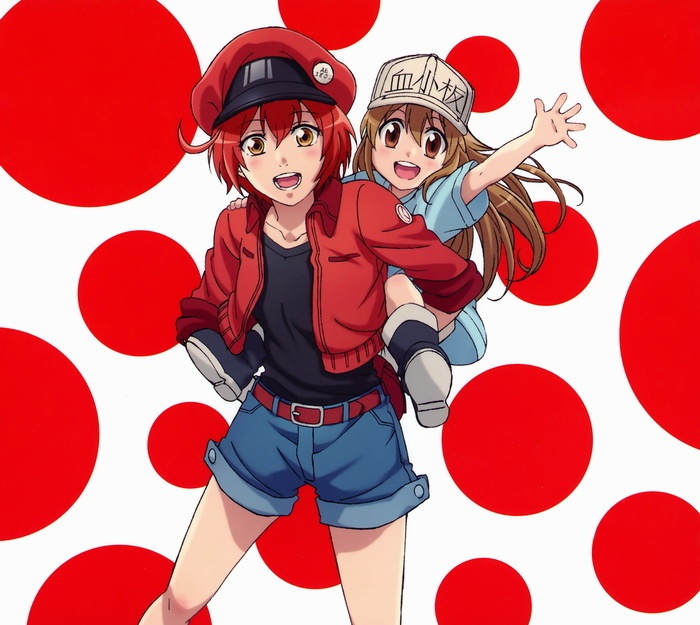 (转载)(工作细胞)[MORA自购][180815] TVアニメ「はたらく細胞」ED「CheerS」 / ClariS [96kHz/24bit][FLAC]