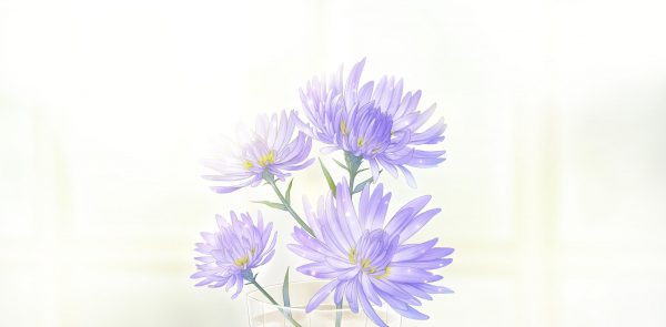 ev02c.png