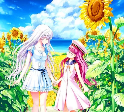 Summer Pockets 全音乐合集