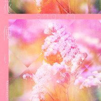 [MORA自购][240310] shallm - 花便り [44.1/16]