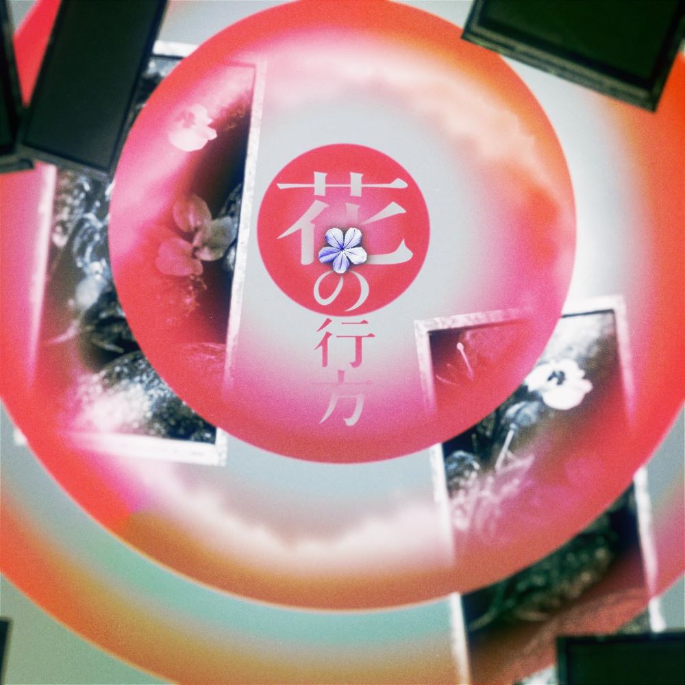 [2024.10.19] TVドラマ「D＆D〜医者と刑事の捜査線〜」主題歌「花の行方」／AIESH [FLAC 48kHz/24bit]