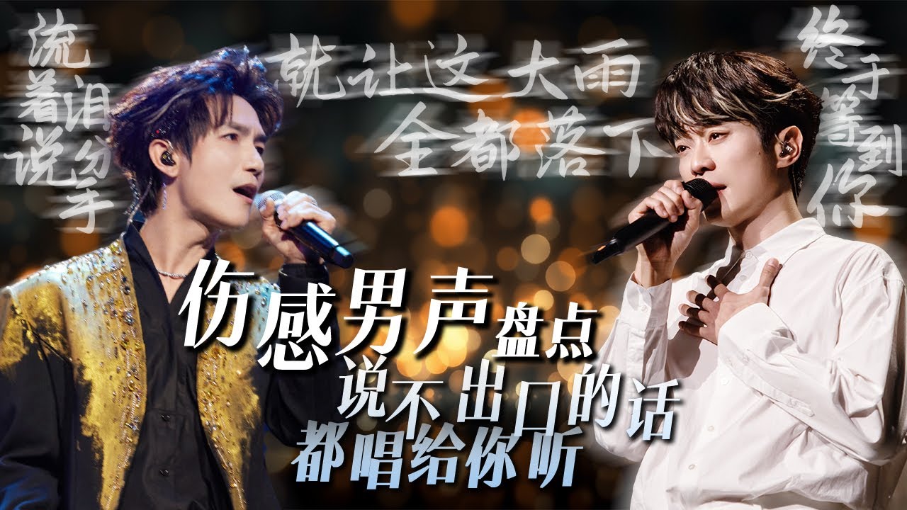 华语男声经典伤感歌曲无损合集[wav/mp3][5.8GB]