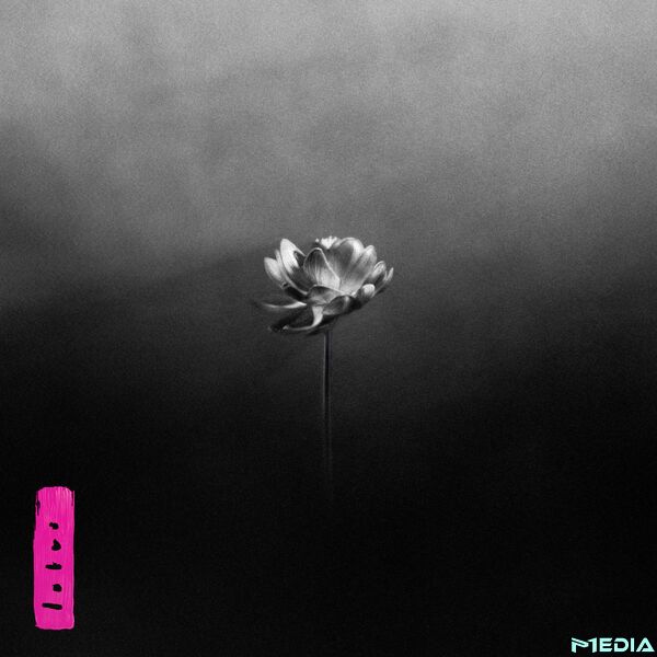 【Hi-Res】Little Simz - Lotus [Flac 24Bit-96kHz]