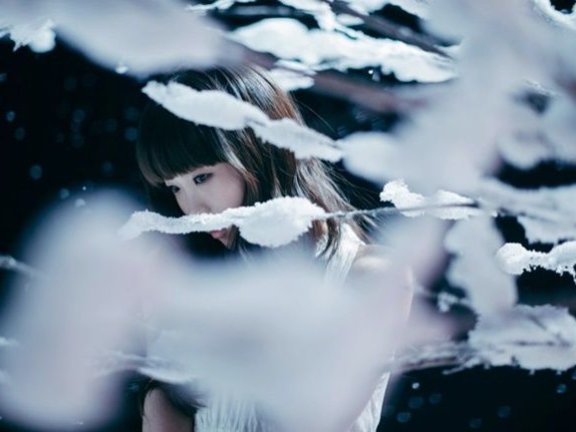 Aimer新歌“歌鸟风月”将制作恋爱广播剧