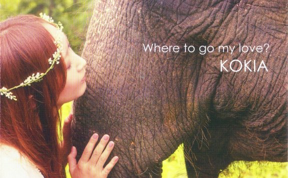 【Hi-Res】Where to go my love-KOKIA【FLAC】