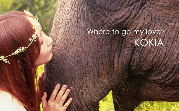 [Hi-Res]KOKIA where to go my love[flac]