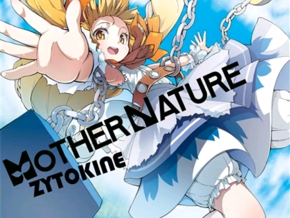 (例大祭11)(同人音楽)(東方)[ZYTOKINE] MOTHER NATURE