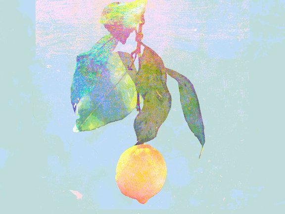 【WAV】米津玄师 专辑Lemon