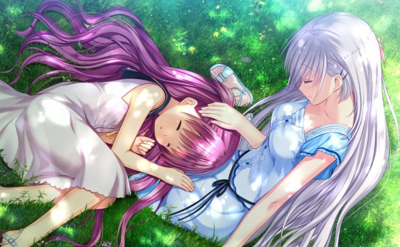 夜奏花
