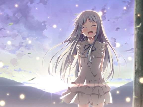 未闻花名(TVアニメ)