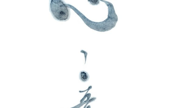 [C95][魂音泉] 心ノ音 III [FLAC+SCAN+LOG+CUE]