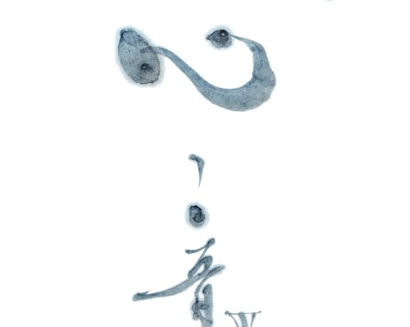 [C95][魂音泉] 心ノ音 III [FLAC+SCAN+LOG+CUE]