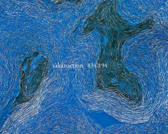 サカナクション -『834.194』[ FLAC ]