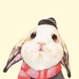 兔子先生