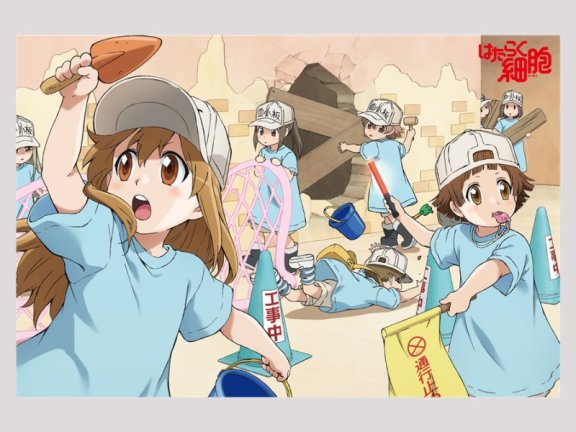 [工作細胞!!/Hataraku Saibou S1+S2+BLACK]