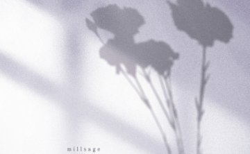 [2026.07.19] BanG Dream! millsage – カーネーションの咲く日に [FLAC 96kHz/24bit]