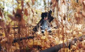 【CD无损】Billy Woods – GOLLIWOG (Deluxe) [Flac 44.1kHz 16bit]