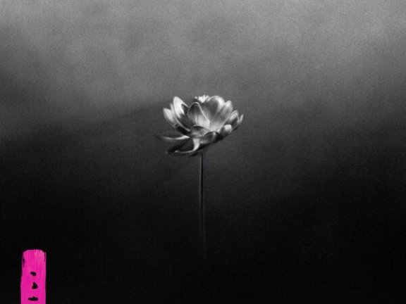 【Hi-Res】Little Simz – Lotus [Flac 24Bit-96kHz]